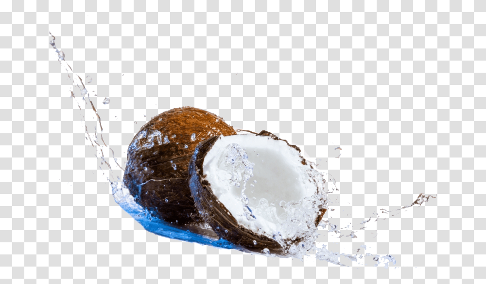 Coconut Water Splash Image Background Arts Coconut Day Wishes, Plant, Vegetable, Food, Fruit Transparent Png