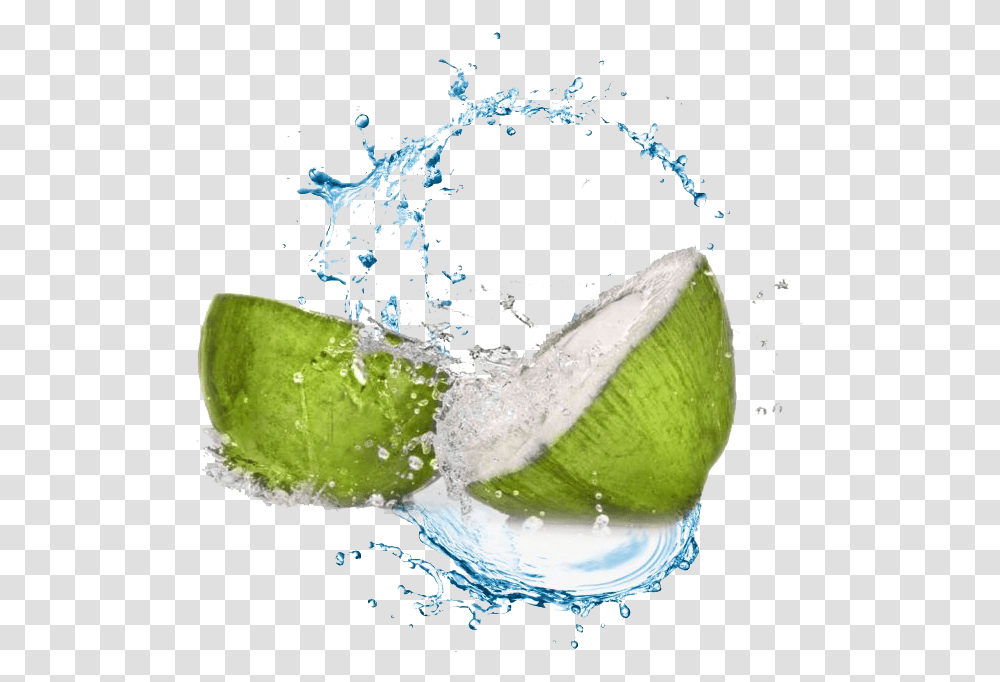 Coconut Water Splash Image, Plant, Fruit, Food, Lime Transparent Png
