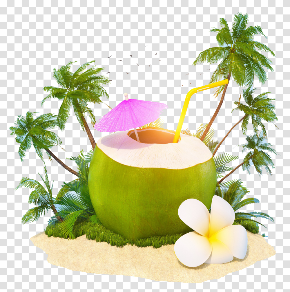 Coconut World Coconut Day 2019 Transparent Png