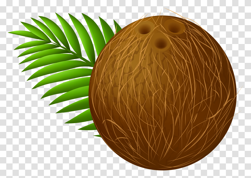 Coconuts Clipart Clip Art Library Coconut Dibujos De Coco Fruta Transparent Png