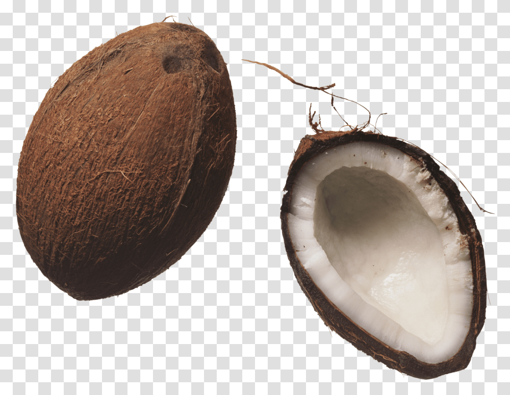 Coconuts Image Coconut, Plant, Vegetable, Food, Fruit Transparent Png