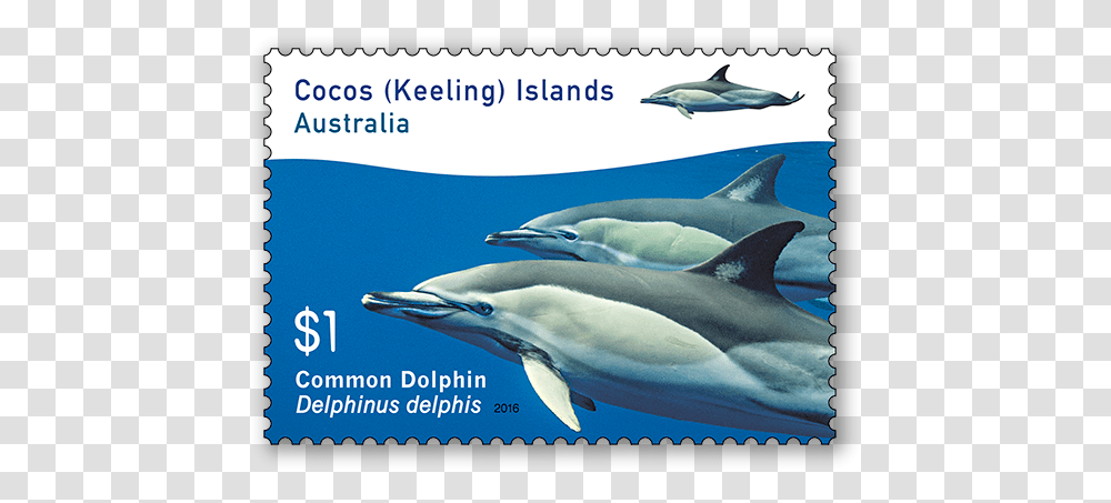 Cocos Keeling Islands Stamps, Dolphin, Mammal, Sea Life, Animal Transparent Png