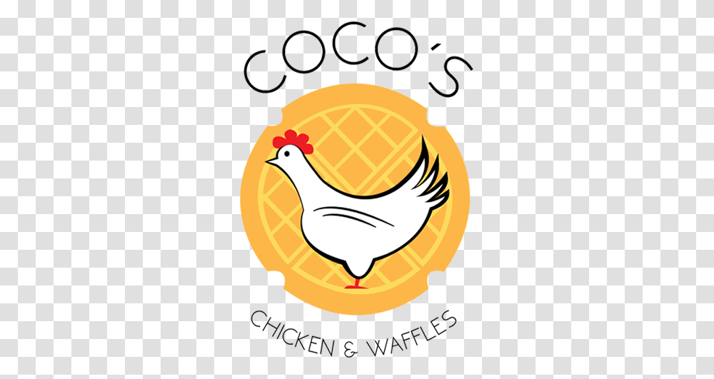 Cocos Menu V Lounge Philadelphia, Animal, Bird, Fowl, Poultry Transparent Png