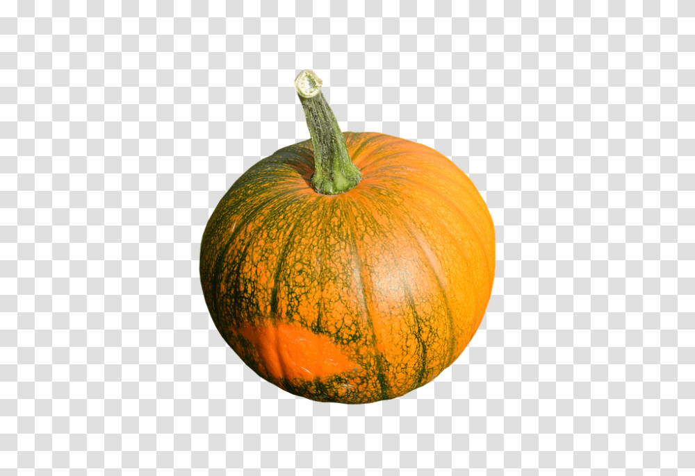 Cocumber 960, Vegetable, Plant, Pumpkin, Food Transparent Png