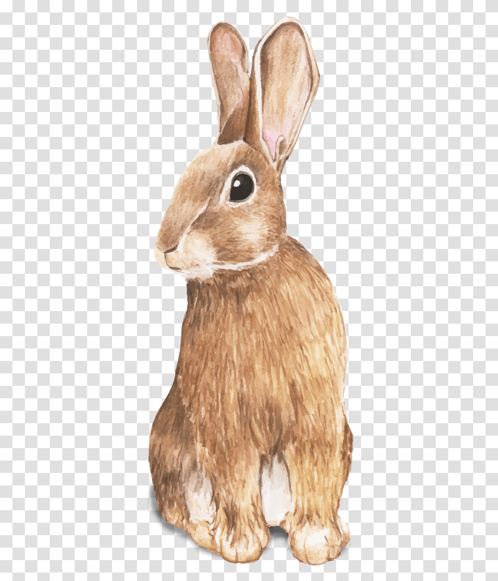 Coelhinho Da Pscoa Rabbit Hand Drawing, Bird, Animal, Partridge, Mammal Transparent Png