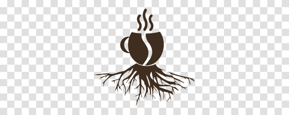 Coffee Drink, Plant, Root, Flower Transparent Png