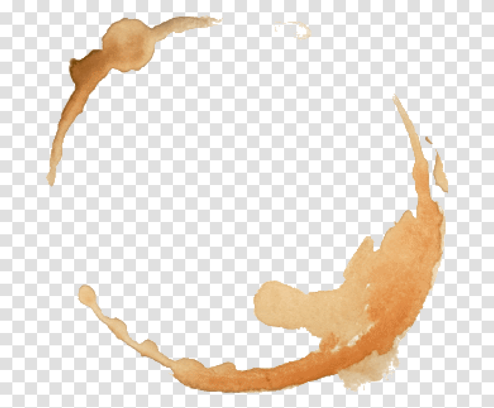 Coffee, Animal, Astronomy, Outer Space, Universe Transparent Png