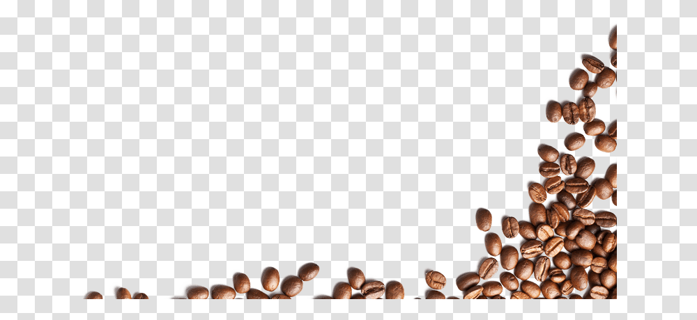 Coffee Bean, Person, People, Outdoors, Crowd Transparent Png
