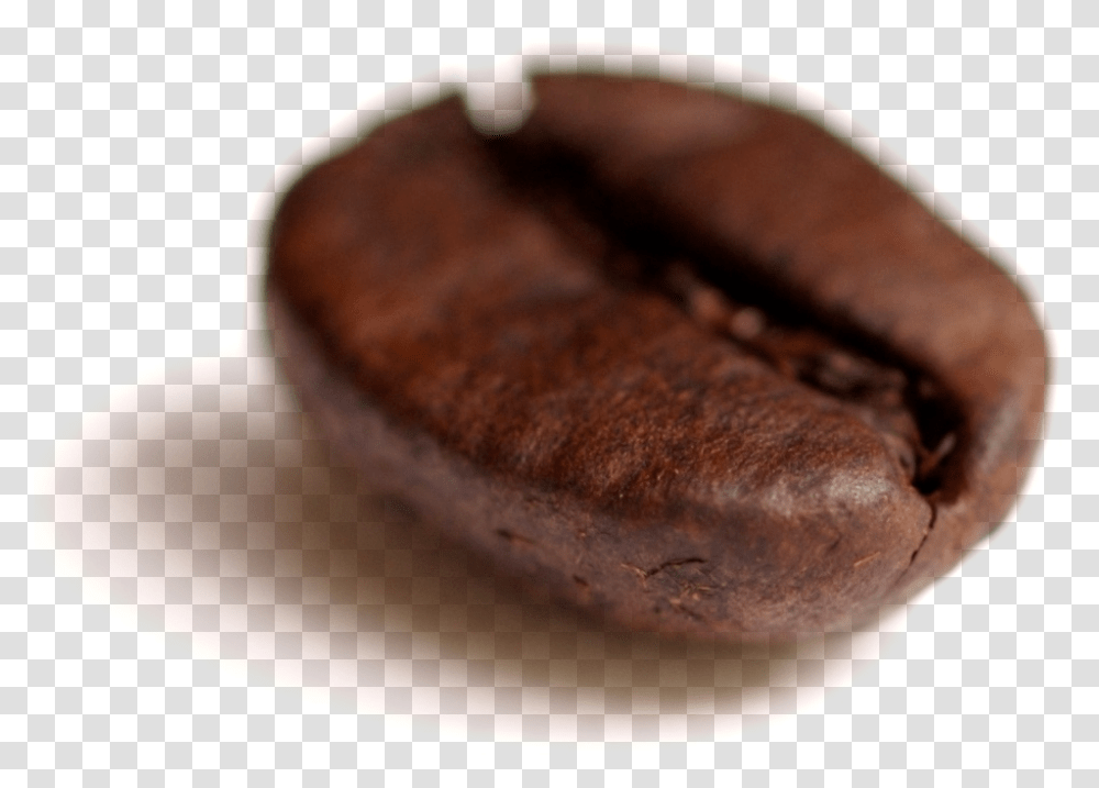 Coffee Bean Single Coffee Beans, Plant, Vegetable, Food, Produce Transparent Png