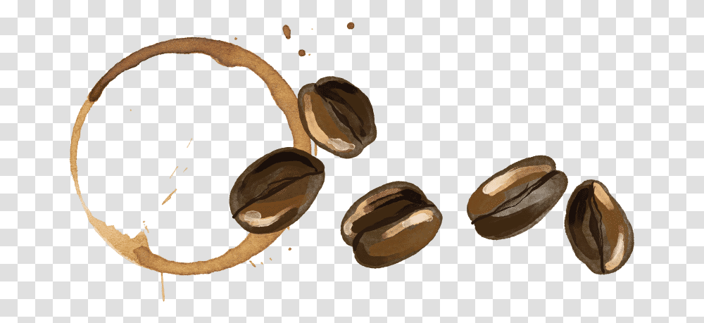 Coffee Bean Stain White Walnut, Plant, Vegetable, Food, Produce Transparent Png