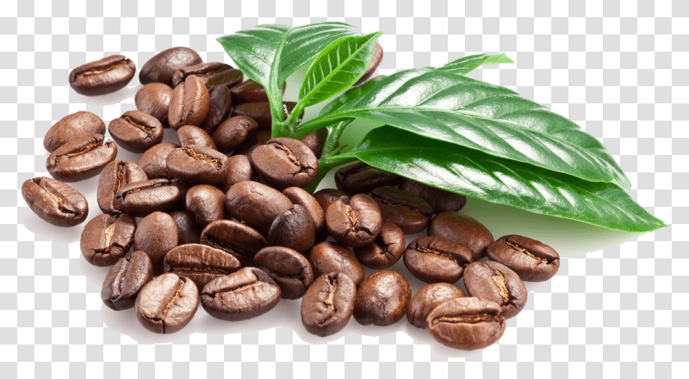 Coffee Bean With Leaves, Plant, Coffee Cup, Food, Vegetable Transparent Png