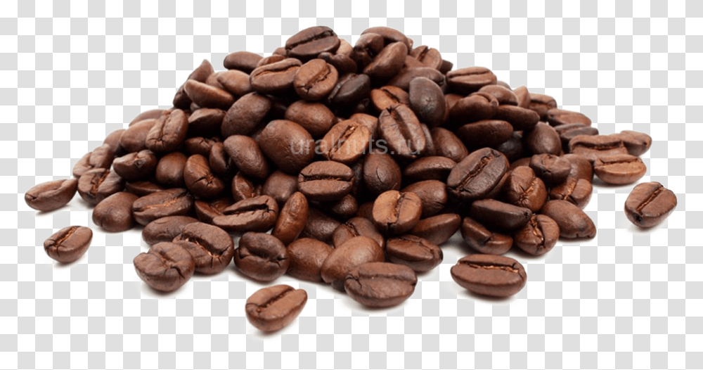 Coffee Beans Background 2006, Plant, Coffee Cup, Vegetable, Food Transparent Png