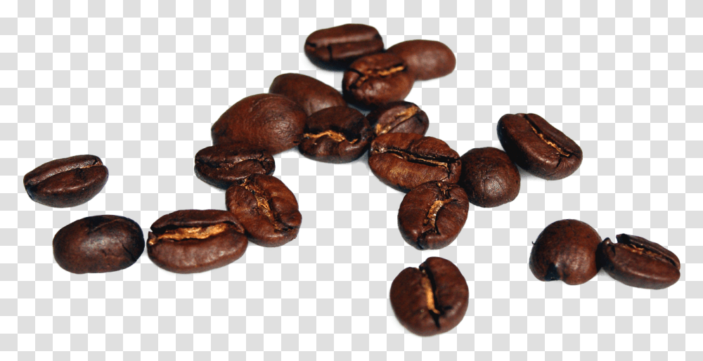 Coffee Beans Coffee Beans Free Photo Coffee Bean High Resolution, Plant, Vegetable, Food, Fungus Transparent Png