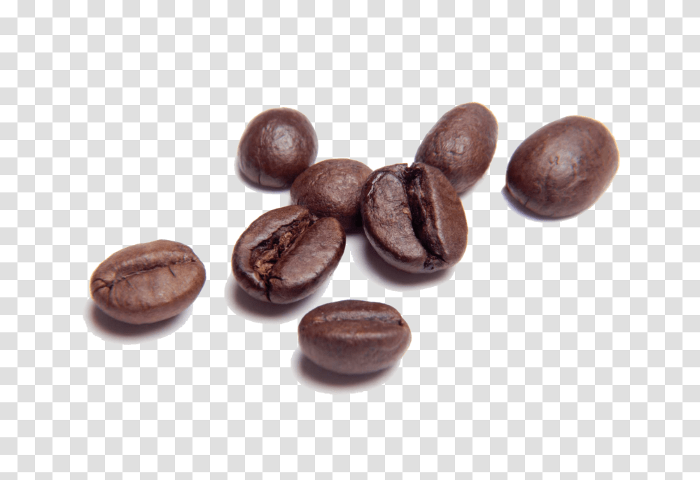 Coffee Beans, Drink, Plant, Fungus, Food Transparent Png