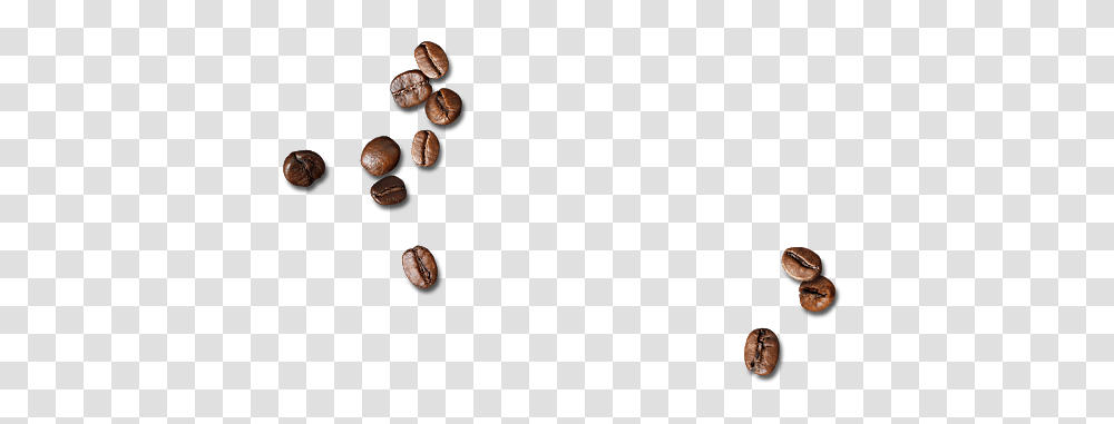 Coffee Beans, Drink, Plant, Nut, Vegetable Transparent Png