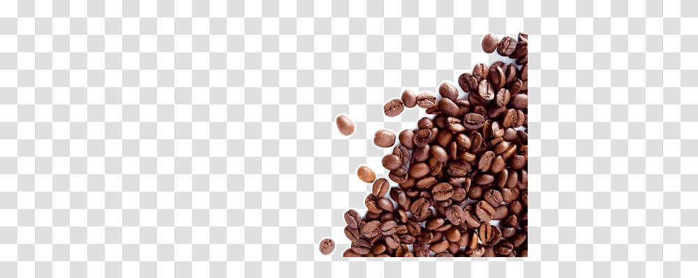 Coffee Beans, Drink, Plant, Produce, Food Transparent Png