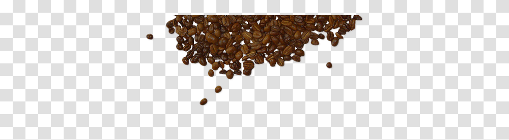 Coffee Beans, Drink, Plant, Seed, Grain Transparent Png