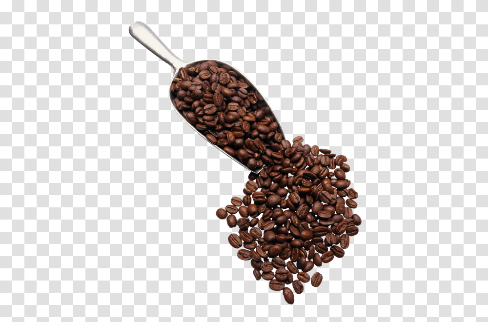 Coffee Beans, Drink, Plant, Spoon, Cutlery Transparent Png