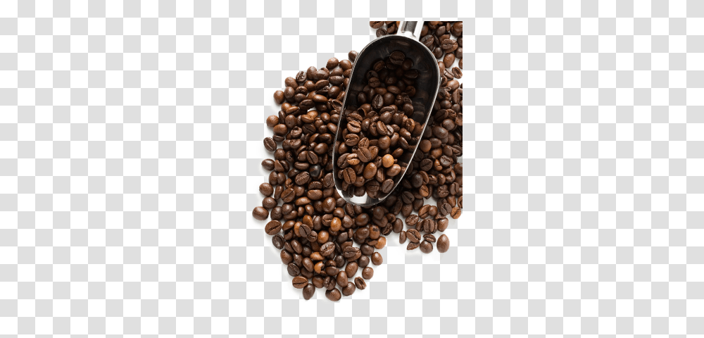 Coffee Beans, Drink, Plant, Vegetable, Food Transparent Png