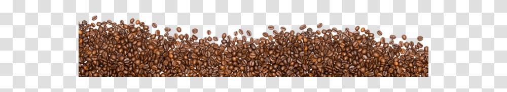 Coffee Beans, Drink, Plant, Vegetable, Food Transparent Png