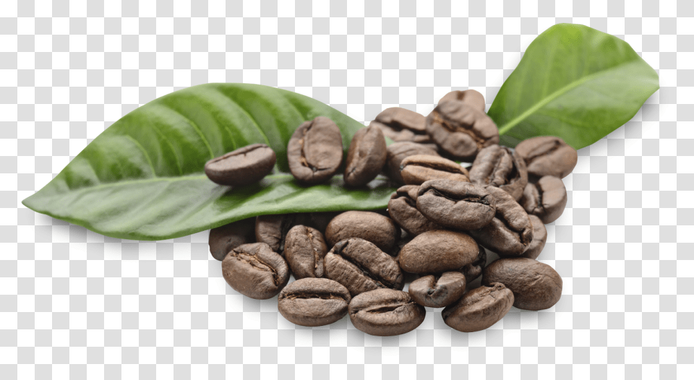 Coffee Beans, Drink, Plant, Vegetable, Food Transparent Png