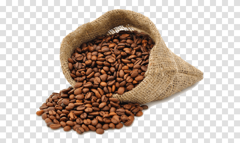 Coffee Beans, Drink, Snake, Reptile, Animal Transparent Png