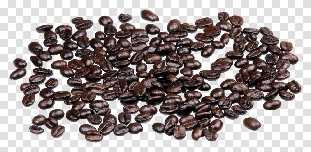 Coffee Beans, Drink Transparent Png