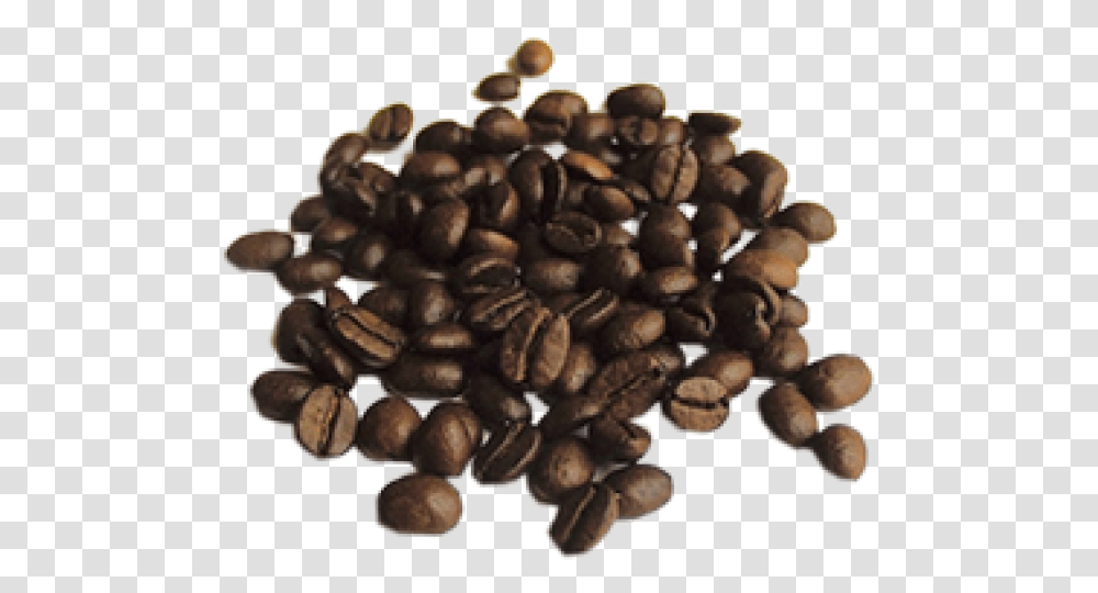 Coffee Beans Free Download Quality Of Coffee, Plant, Pecan, Seed, Nut Transparent Png