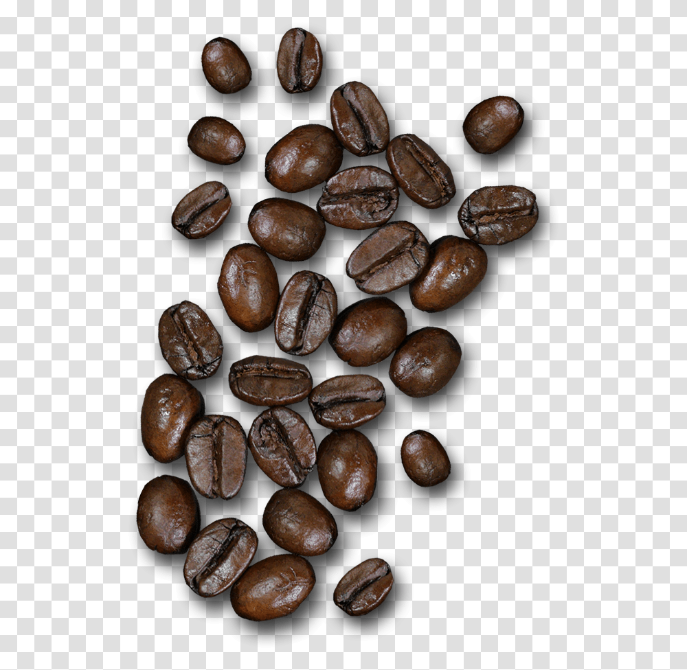 Coffee Beans From Top, Plant, Vegetable, Food, Grain Transparent Png