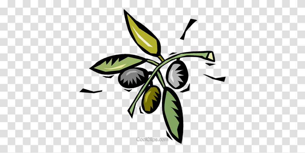 Coffee Beans Growing On The Plant Royalty Free Vector Clip Art, Green, Vase, Jar, Pottery Transparent Png