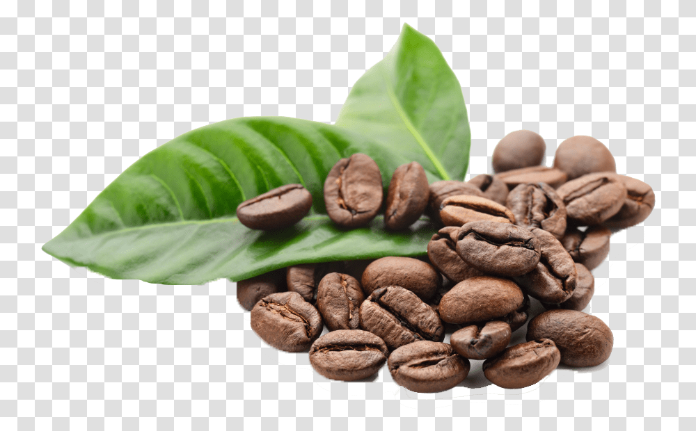 Coffee Beans Hd Images Background Coffee Bean, Plant, Fungus, Food, Vegetable Transparent Png