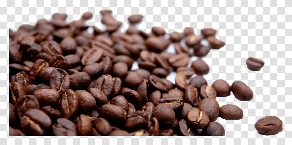 Coffee Beans Hd Wallpaper Background Coffee Beans, Plant, Produce, Food, Vegetable Transparent Png
