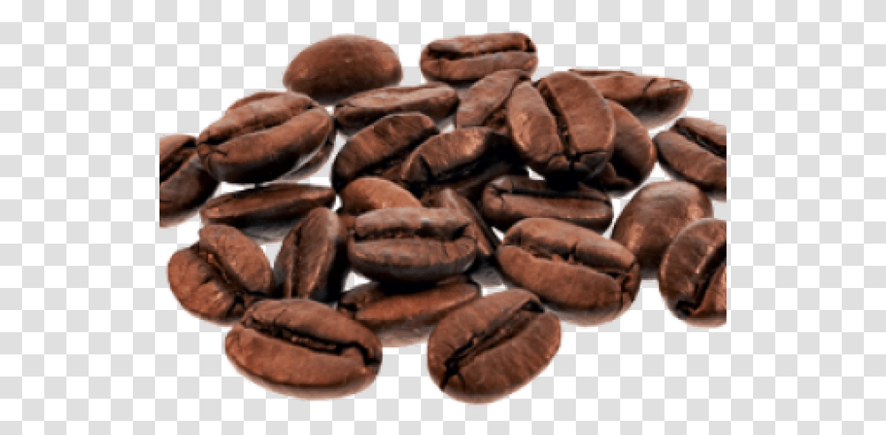 Coffee Beans Images 24 Cafe, Plant, Pecan, Seed, Nut Transparent Png