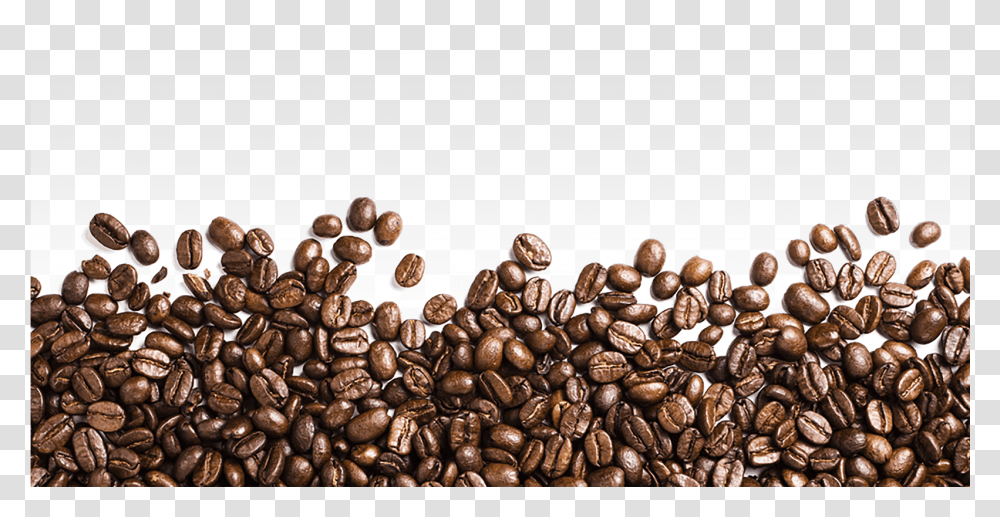 Coffee Beans, Plant, Vegetable, Food, Produce Transparent Png