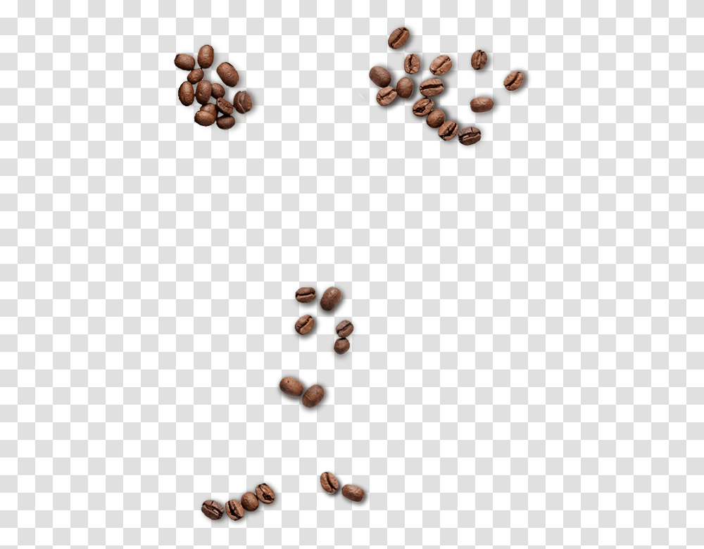 Coffee Beans Seed, Microscope, Plant, Grain, Produce Transparent Png