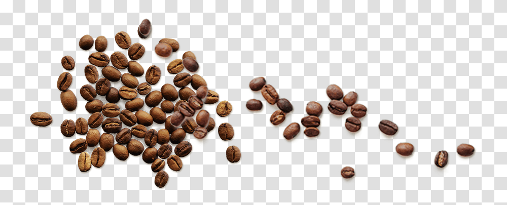 Coffee Beans Top, Plant, Produce, Food, Nut Transparent Png