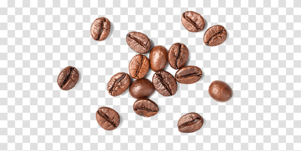 Coffee Beans Top View, Plant, Vegetable, Food, Seed Transparent Png