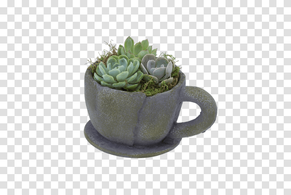 Coffee Break Royer's Flowers And Gifts Flowers Plants Flowerpot, Pottery, Saucer, Porcelain, Art Transparent Png