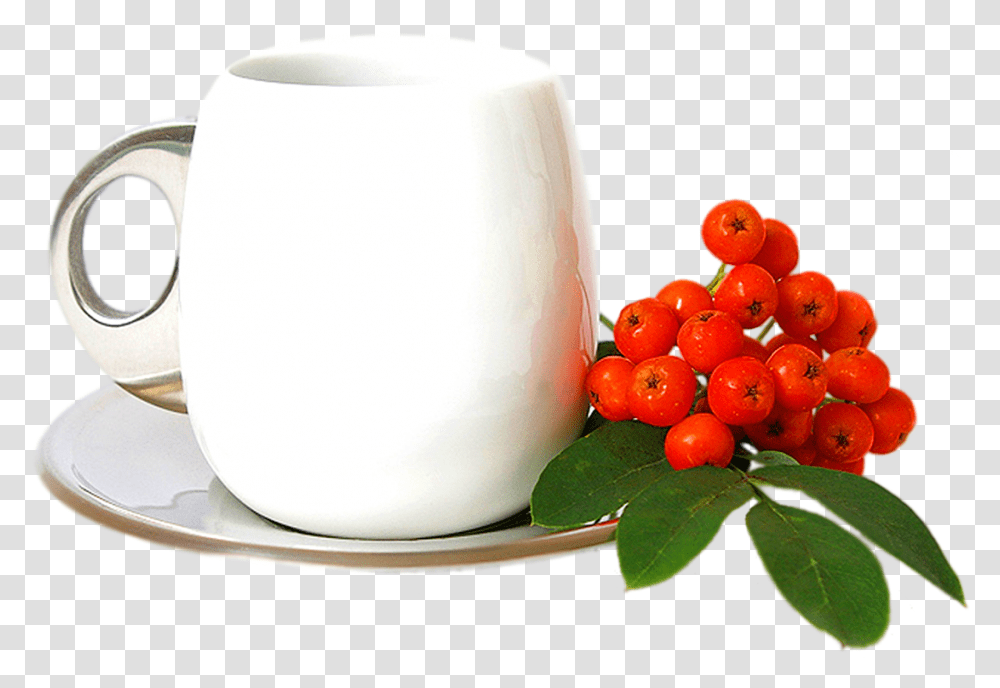 Coffee Cup, Saucer, Pottery, Plant, Potted Plant Transparent Png