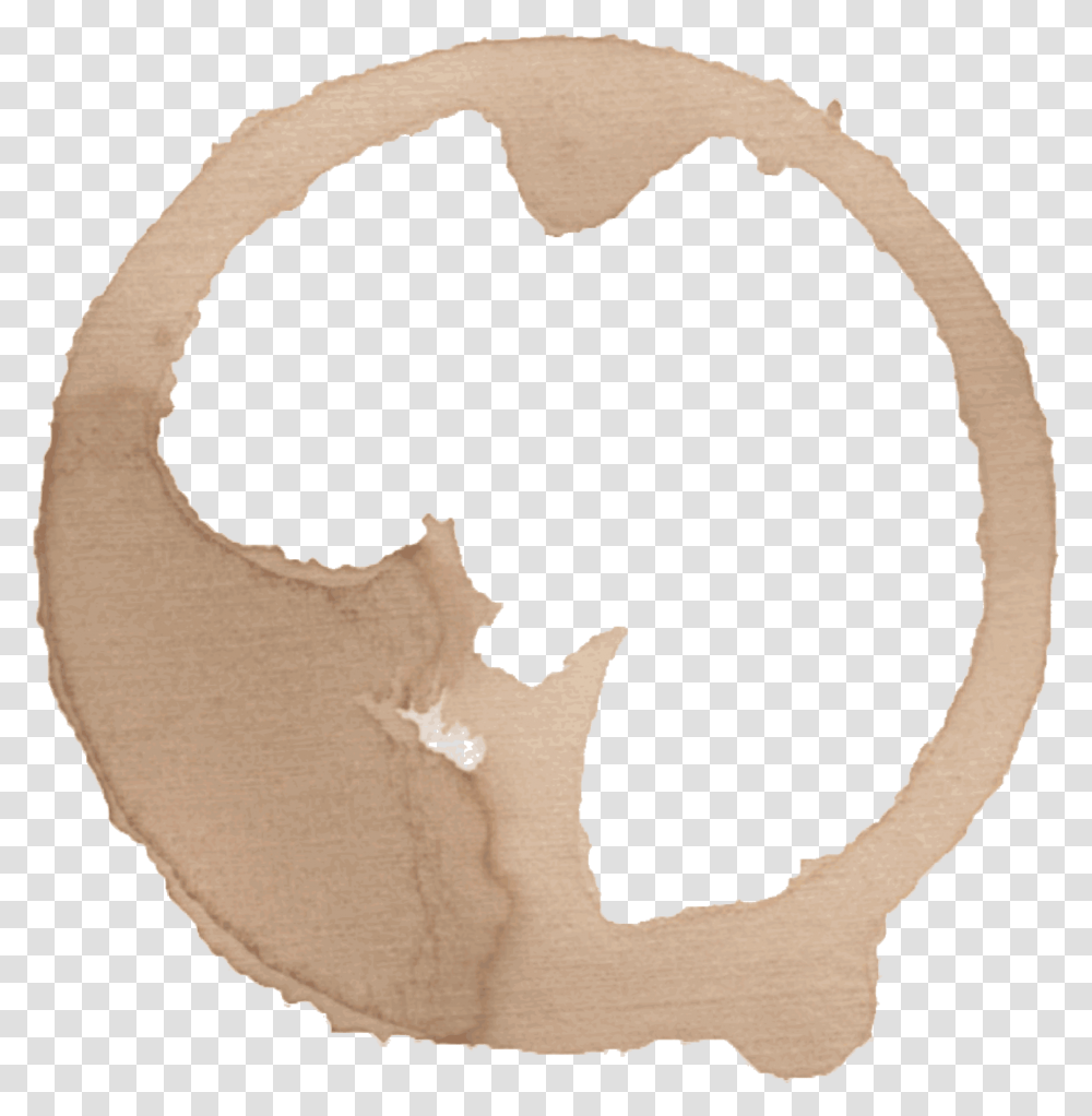 Coffee Cup Stain Coffee Cup, Astronomy, Animal, Mammal, Cattle Transparent Png
