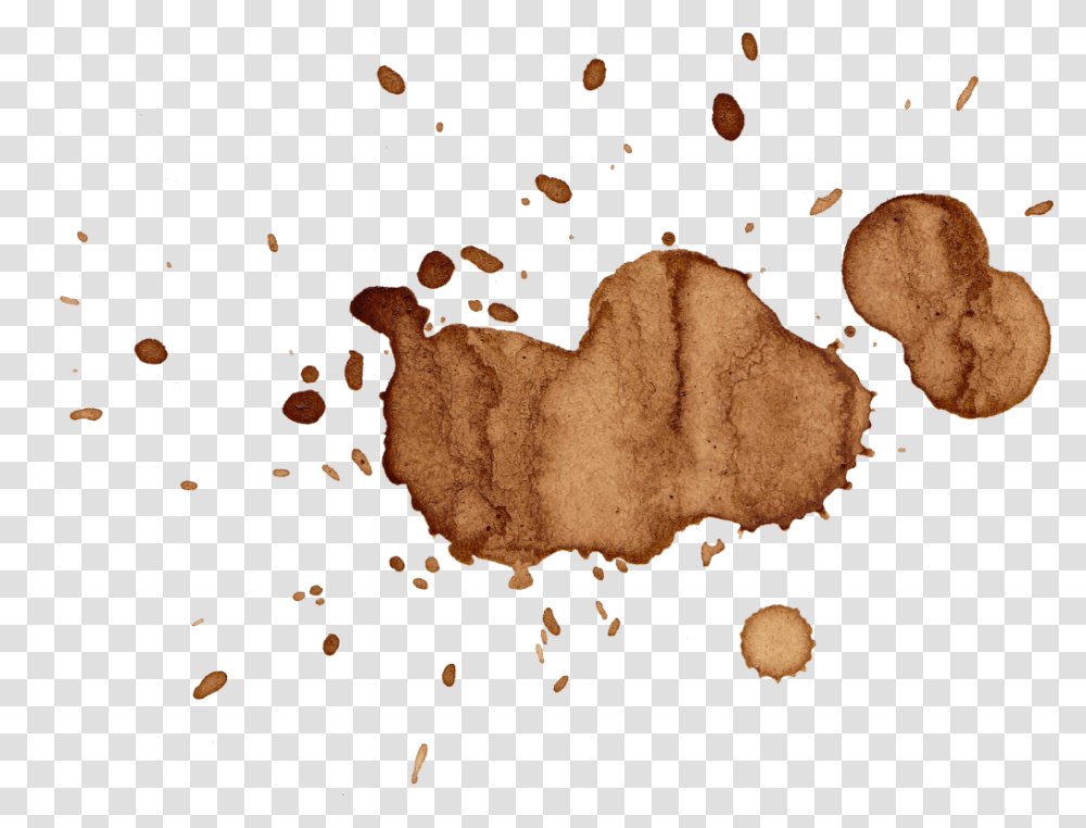 Coffee Cup Stain, Fungus Transparent Png