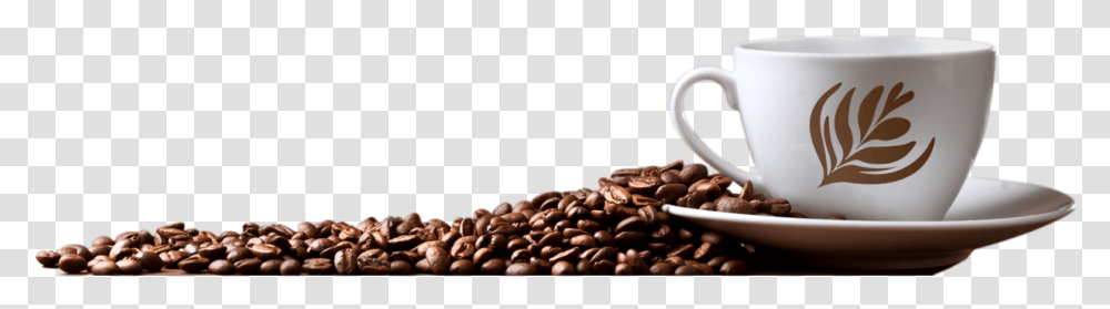 Coffee Image Coffee Beans Cup, Plant, Coffee Cup, Vegetation, Nature Transparent Png