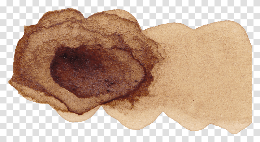 Coffee Paint Watercolor, Fungus, Food, Rug, Bread Transparent Png