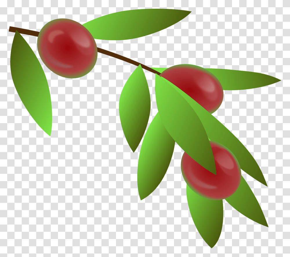 Coffee Plant Clipart Botanical, Leaf, Fruit, Food, Green Transparent Png