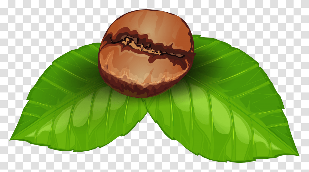 Coffee Plant Clipart Palnt, Leaf, Food, Fruit, Egg Transparent Png