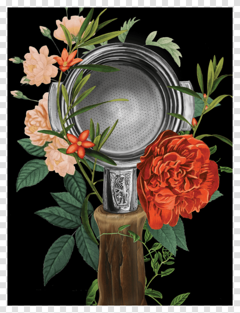 Coffee, Plant, Flower, Floral Design, Pattern Transparent Png