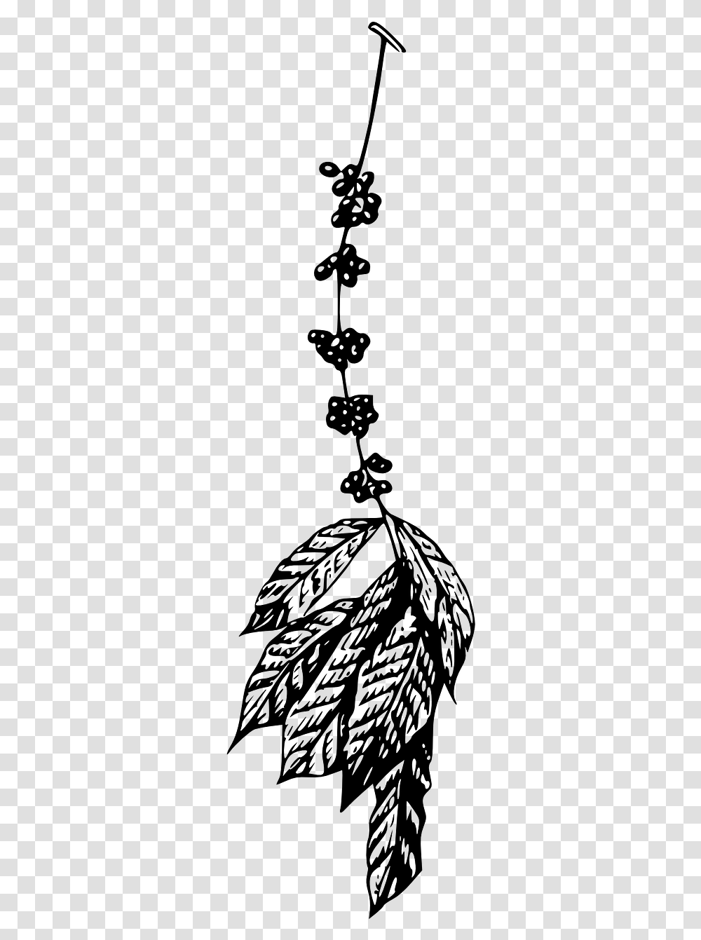 Coffee Plant Illustrations Coffee, Gray, World Of Warcraft Transparent Png