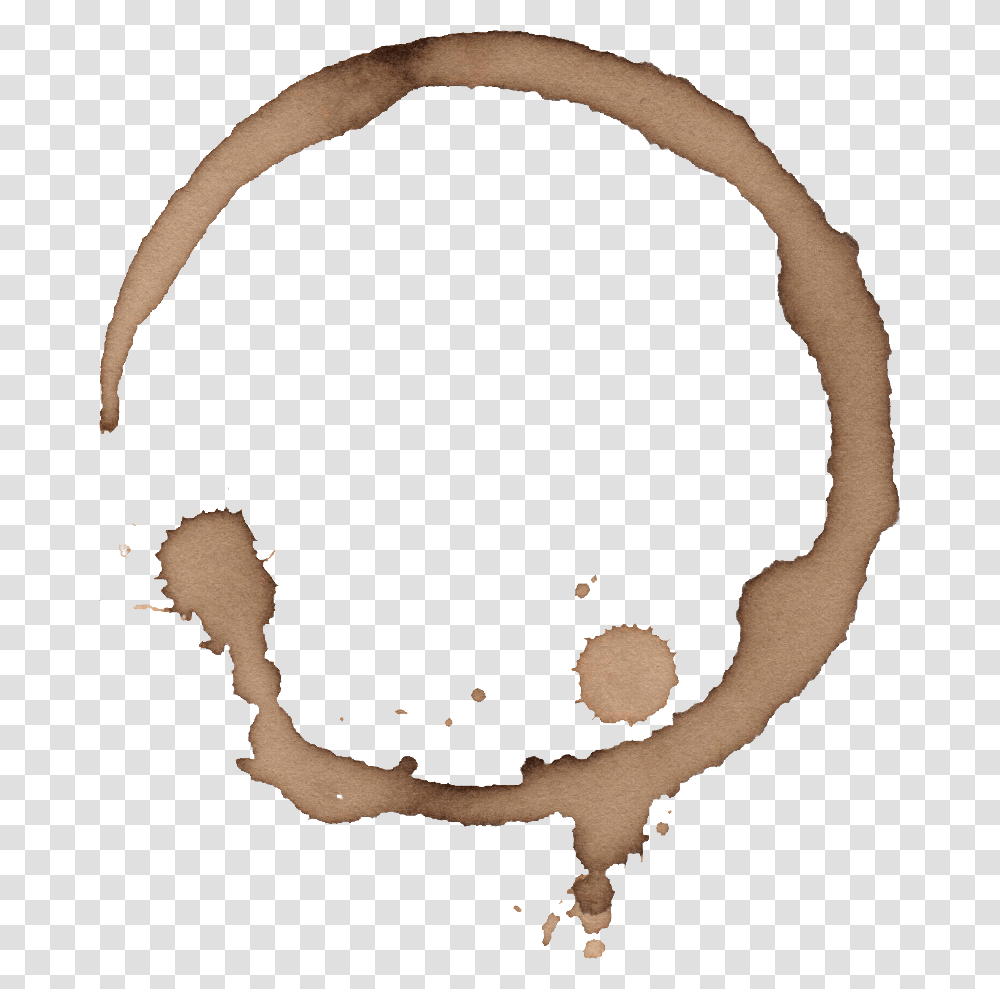 Coffee Ring Stain, Person, Human, Animal, Antler Transparent Png