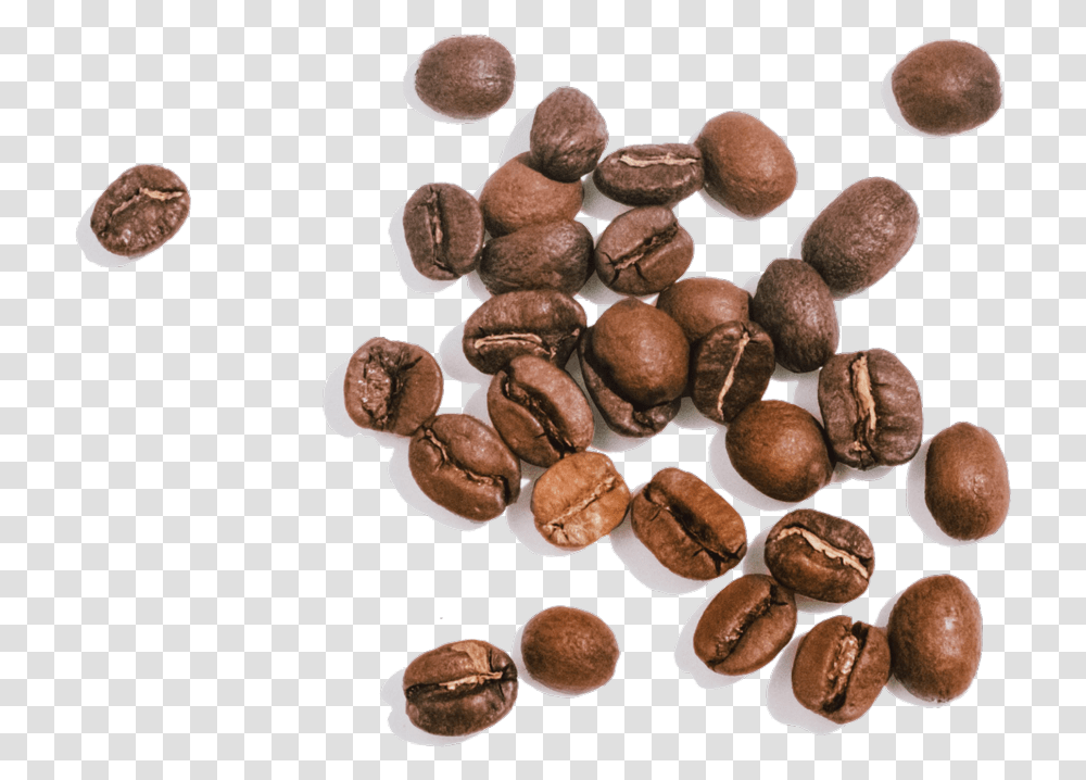 Coffee Seeds, Plant, Vegetable, Food, Nut Transparent Png
