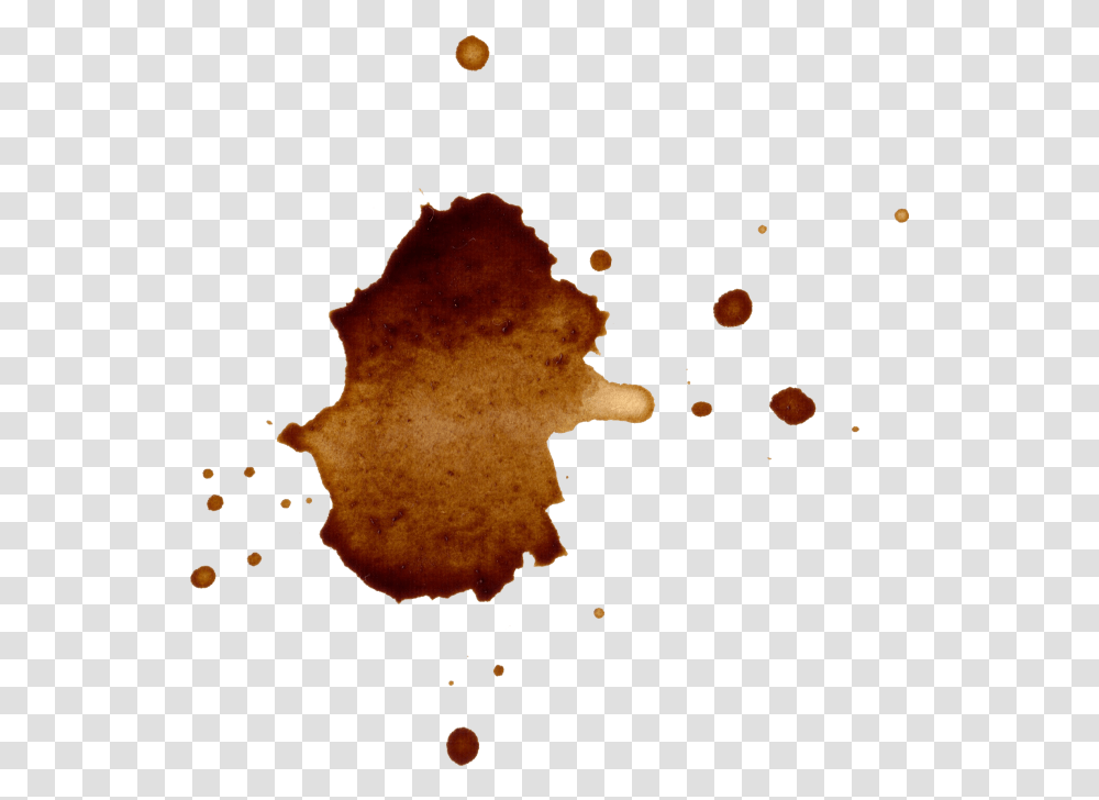 Coffee Splatter, Stain, Fungus, Bonfire, Flame Transparent Png